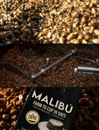 Sierra Nevada Premium Colombian Coffee